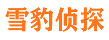 蒙山市婚姻调查